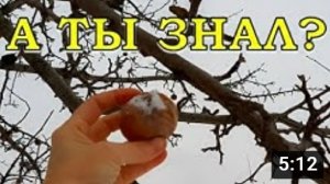 ВАЖНО! Работы на даче в ДЕКАБРЕ❄❄❄