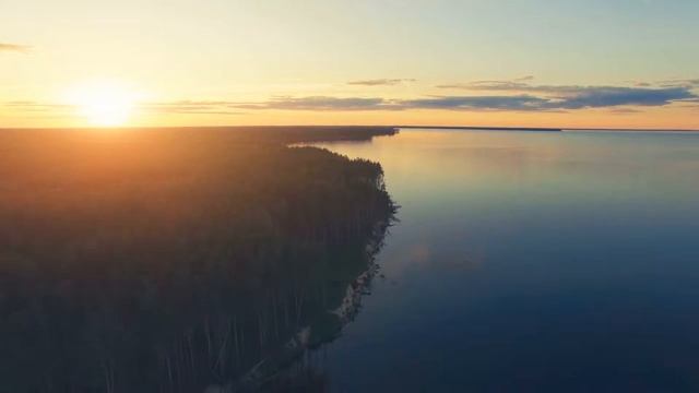 Расслабляющая фортепианная музыка • Расслабляющая музыка для снятия стресса, сна и расслабления смотреть онлайн
