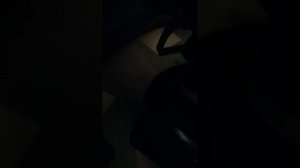 Самодельный интерцептор