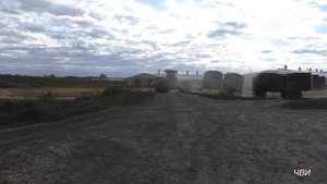 Уборка кукурузы и заготовка силоса ООО Толстодубровское