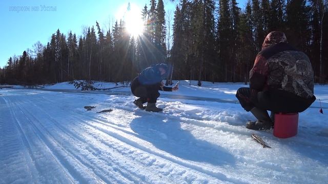 Последний лёд. апрель 2019. смотреть онлайн
