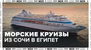 Морские круизы планируют запустить из Сочи в Египет - Москва 24