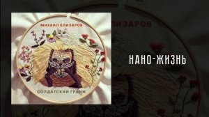 46 Михаил Елизаров — Нано-жизнь