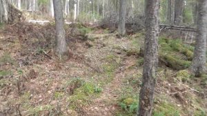 пукшеньга 19 г