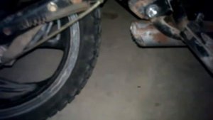 звук зид пилот 50