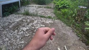 ЛАЙФХАКИ для ЛЕТНЕЙ РЫБАЛКИ. летняя рыбалка