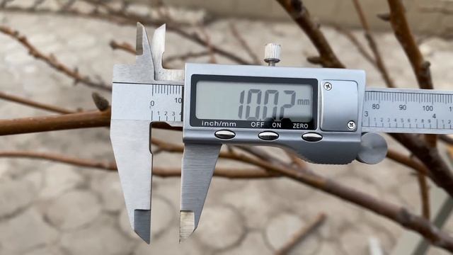 САДОВЫЙ СЕКАТОР/ Тестирую инструмент для сада, дачи.