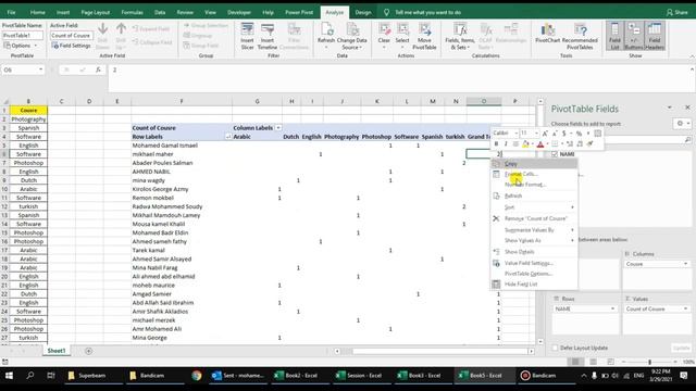 Correctly and usefully in the Excel Pivot Table How to use