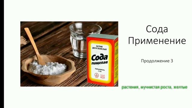 Помогает ли сода от запаха в уличном туалете