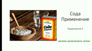 Как применять соду от мучнистой росы.Как применять соду для растений и от желтизны на листьях.