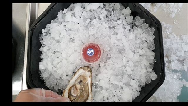 Сет Хасанские и Приморские устрицы от GS Market смотреть онлайн