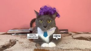 КОТИКИ В ШКОЛЕ - ИГРА