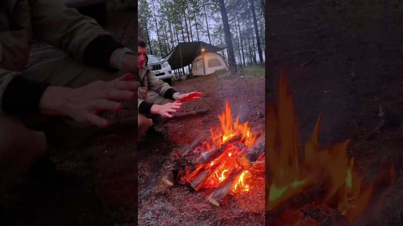 Хорошо у костра #camping #костер