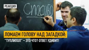 Ломаем голову над загадкой: "туплипол" – это что? Ответ удивит!