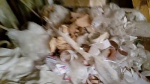 Залезли на завод где снимался фильм "За час до рассвета"
