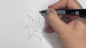 Как нарисовать паука и паутину