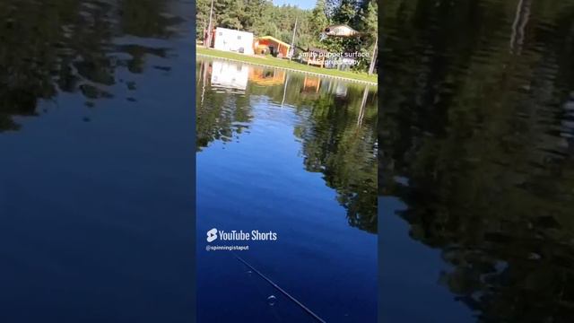 Smith puppet surface AliExpress copy #fishing #troutarea