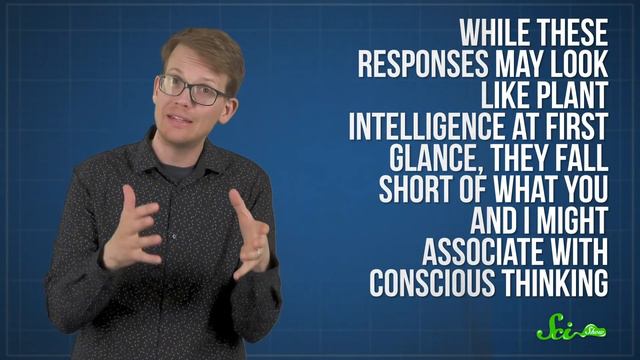 Plants. Can't. Count. - ...except they kinda can... смотреть онлайн