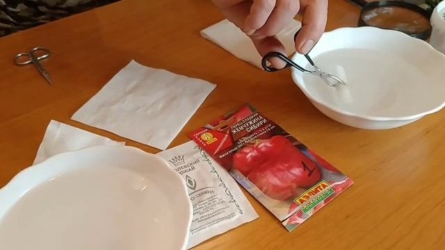 ПРОРАЩИВАНИЕ СЕМЯН ЗА 40 ч И МЕНЬШЕ .