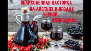 Великолепная настойка на листьях и ягодах черной смородины!!!Шикарный вкус напитка!!!