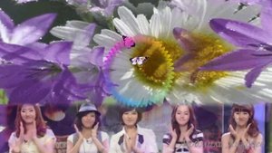 ❀❀❀Ромашка, ромашка цветок полевой!❀ Белый день❀