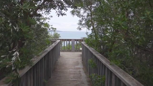 ОБЪЯТИЯ МАТЕРИ.Джуди ГарлендНатали ВудМилла ЙововичБрук Шилдс