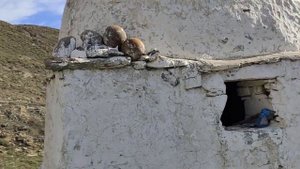 Дагестан. Курахский район.История возникновения села Кутул.#дагестан #россия #абузарикринский #кура