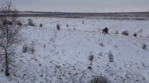 Тульский парк Сергея Зимова "Дикое Поле"  15 11 2016