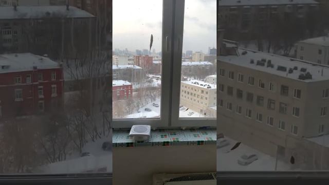 1.3.1.12 смотреть онлайн