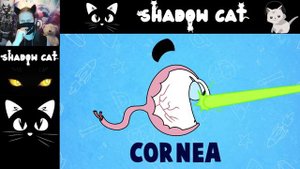 Что если долго смотреть на солнце? / Арнольд / Реакция