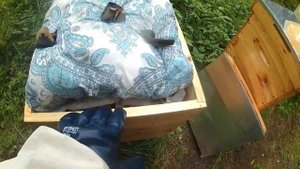 Пчелиная пасека с нуля. 16 серия. Начали закармливать на зиму.mp4