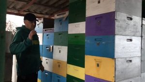 Как хранить рамки сушь. (сохранить, хранение пчелиных рамок).