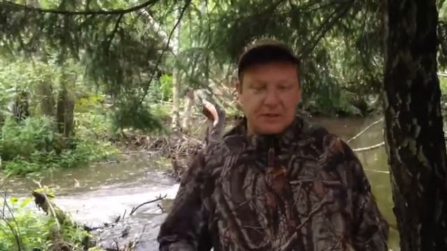 В Алексеевском лесопарке проводятся работы по ликвидации подтопления смотреть онлайн