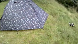 палатка Tramp Lite Hunter3 обзор
