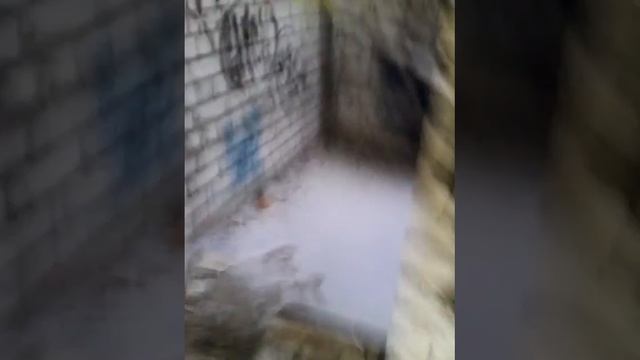 Заброшенные дома часть#1 смотреть онлайн