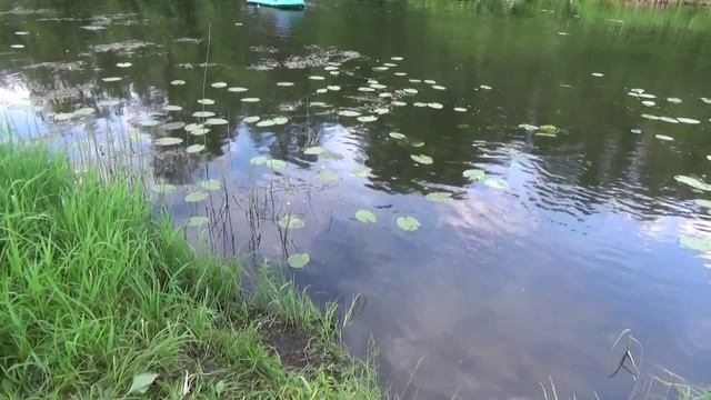 рыбалка люлех или Нихрена неклюет смотреть онлайн