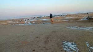 На монгольской лошадке в Монголии. 8 Ноября 22 г.