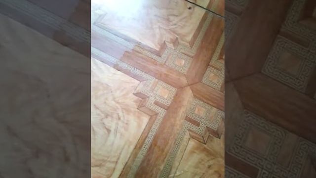 Если питомец гадит куда не надо,"Решения!" смотреть онлайн