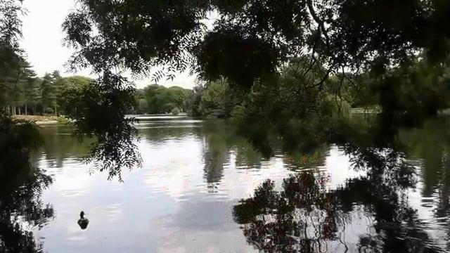 Париж. Парк рядом с Булонским лесом. http://недвижимость-и-туры-в-париже.рф/ смотреть онлайн