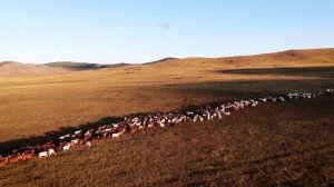 Голод в Казахстане: Истоки [1 ЧАСТЬ]