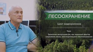 Алексеев А.С.: лесоустройство – как значимый фактор сохранения лесов, неистощительного пользования