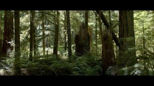 Blackmagic Pocket Cinema Camera 4K ‘Nature’