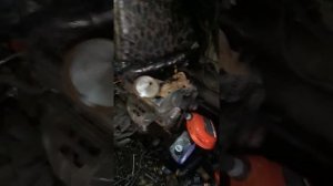 Ваз 2110 будем ДВС от Тойоты номер ДВС 1NZ-FE