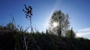 Участок 18 соток ИЖС в д. Каргалозы