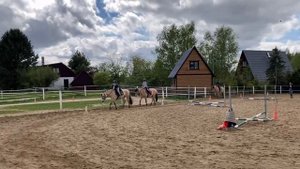 Поехала на тренировку к лошадям Фъордской породы! Конный спорт лошади ?