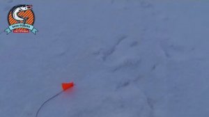 Ночная ловля налима на стук.  Прозорово.  Рыбинка. Рыбалка.