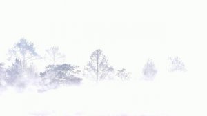 Футаж. Осенний пейзаж 12  Footage. Autumn landscape 12