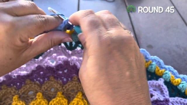 Peacock Plumes Part 3 CAL (Crochet Along)
