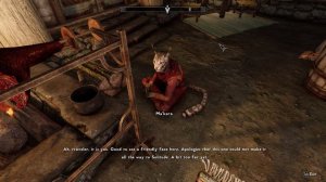 Skyrim Mods: Khajiit Will Follow - Part 3