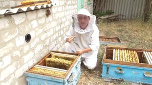 Почему рамки Дадан а не Рут?Использование 16 рамочного улья как много корпусного.
